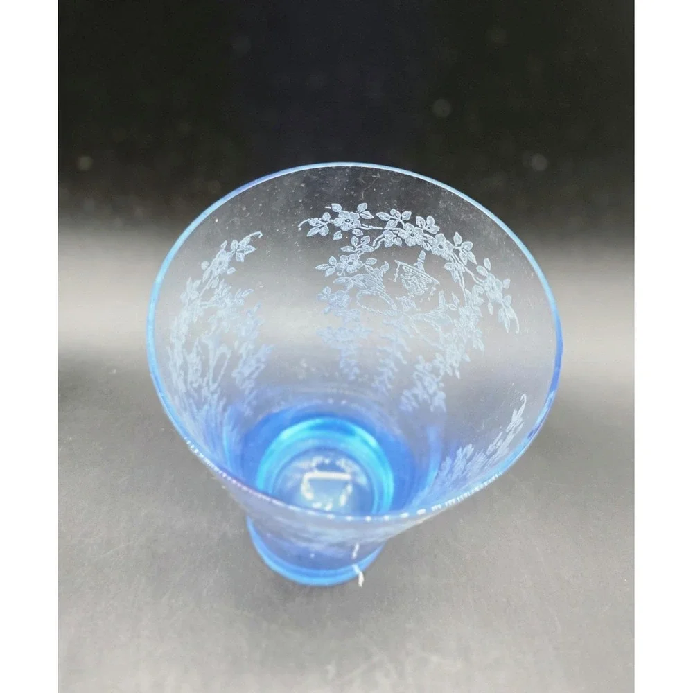 Vintage Fostoria Chintz Etched Blue Tumbler Elegant Glass 6